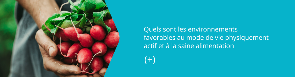 Quels sont les environnements favorables au mode de vie physiquement actif et à la saine alimentation (+)